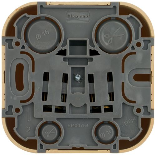 Розетка электрическая Legrand Quteo 782280 сосна, вид