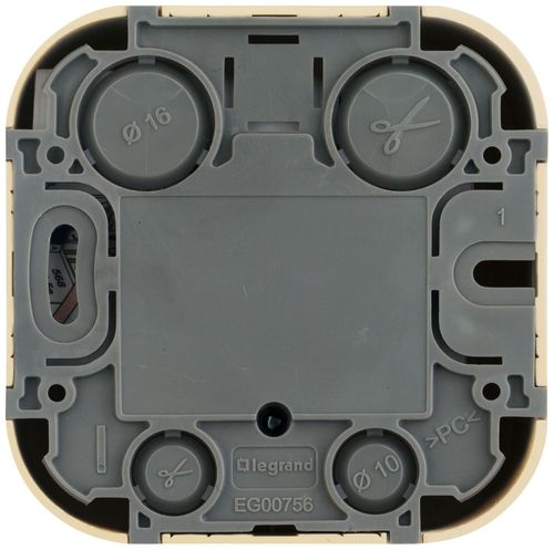 Розетка RJ-11 1 пост Legrand Quteo сосна, картинка