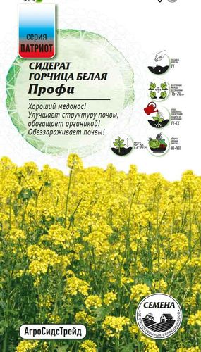 Семена Сидерат Горчица белая Профи ПАТРИОТ, картинка