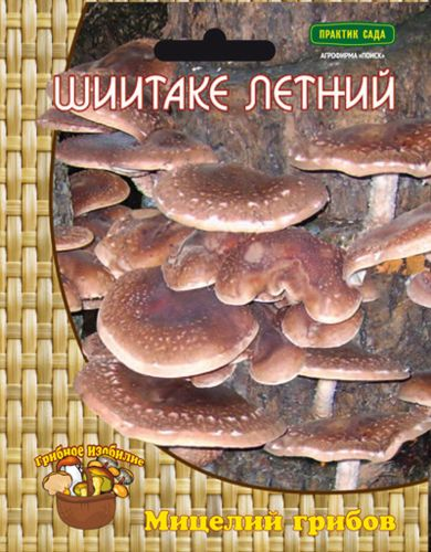 Мицелий грибов ПОИСК в ассортименте 300 г, крупный план
