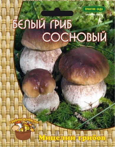Мицелий грибов ПОИСК в ассортименте 300 г, фото