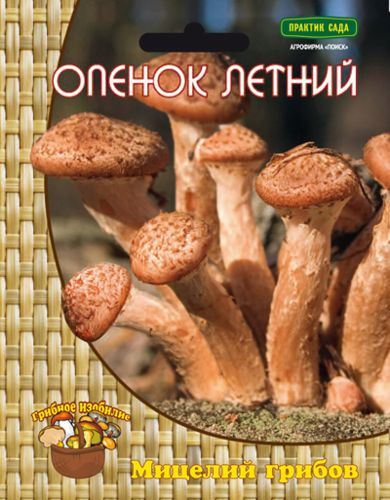 Мицелий грибов ПОИСК в ассортименте 300 г, картинка