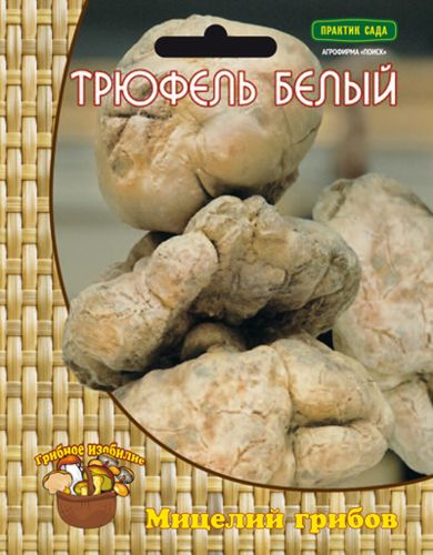 Мицелий грибов ПОИСК в ассортименте 300 г, фото