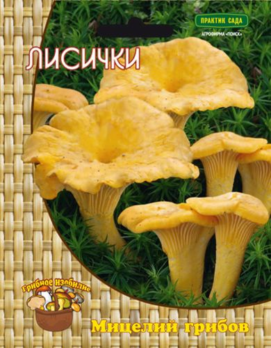 Мицелий грибов ПОИСК в ассортименте 300 г, крупный план