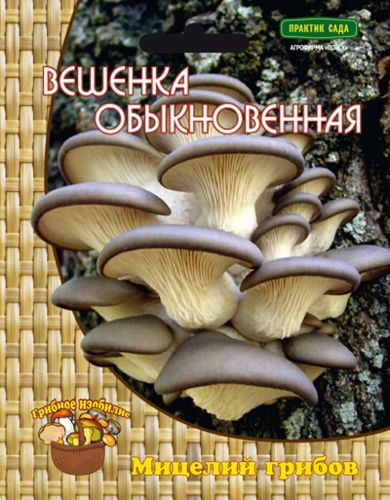 Мицелий грибов ПОИСК в ассортименте 300 г, детальное фото