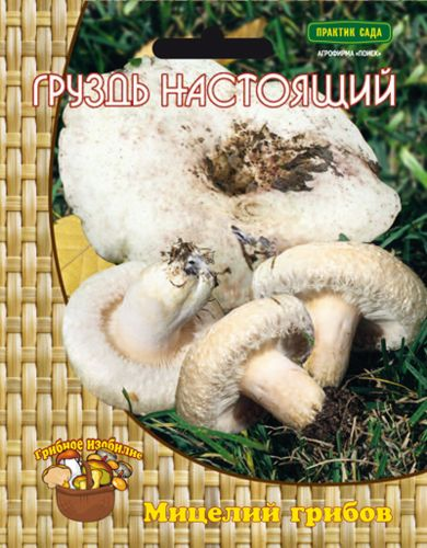 Мицелий грибов ПОИСК в ассортименте 300 г, детальное фото