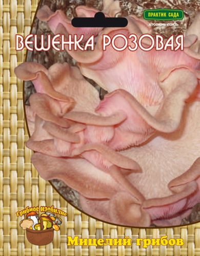 Мицелий грибов ПОИСК в ассортименте 300 г, вид