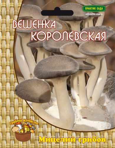 Мицелий грибов ПОИСК в ассортименте 300 г, картинка