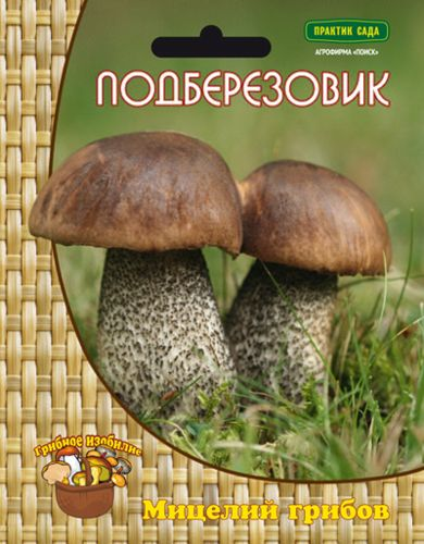 Мицелий грибов ПОИСК в ассортименте 300 г, крупный план