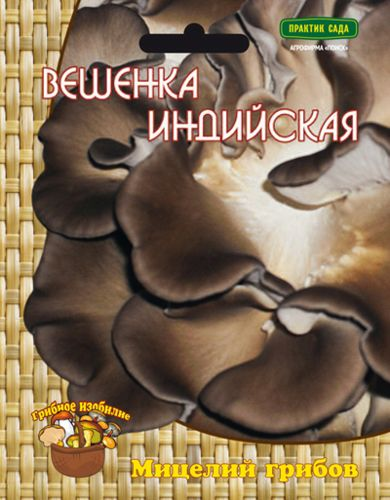Мицелий грибов ПОИСК в ассортименте 300 г, картинка