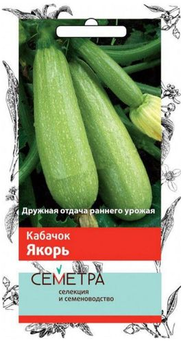 Семена Кабачка ПОИСК Якорь 12 шт, изображение