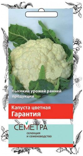 Семена Капусты ПОИСК СЕМЕТРА Гарантия 0,5 г, крупный план