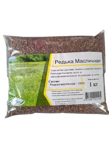 Семена  редьки масличной 1 кг, фото