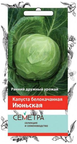 Семена Капусты ПОИСК СЕМЕТРА Июньская 0,5 г, вид