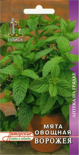 Семена Мяты ПОИСК Ворожея 0,1 г, изображение