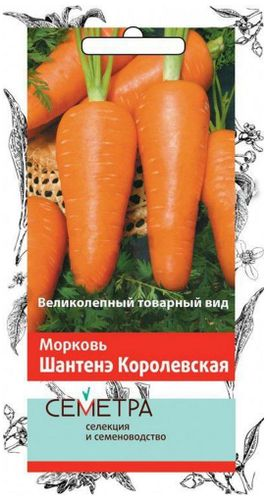 Семена Моркови ПОИСК Шантенэ Королевская 2 г, изображение