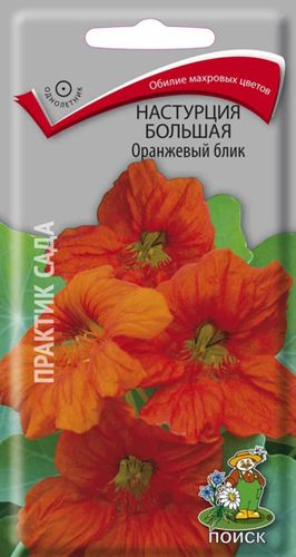 Семена Настурции ПОИСК Большая Оранжевый блик 0,1 г, изображение