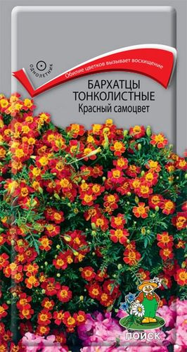 Семена Бархатца тонколистного ПОИСК Красный самоцвет 0,1 г, фотография