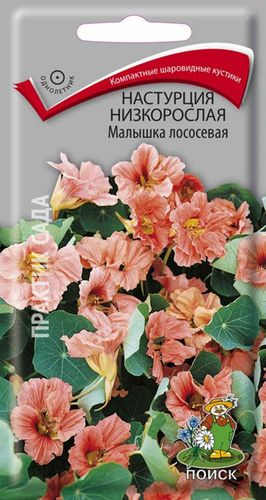 Семена Настурции низкорослой ПОИСК Малышка лососевая 1 г, фотография