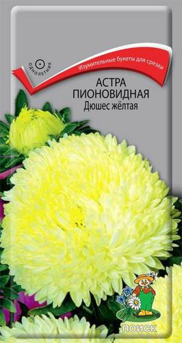 Семена Астры пионовидной ПОИСК Дюшес 0,3 г, изображение