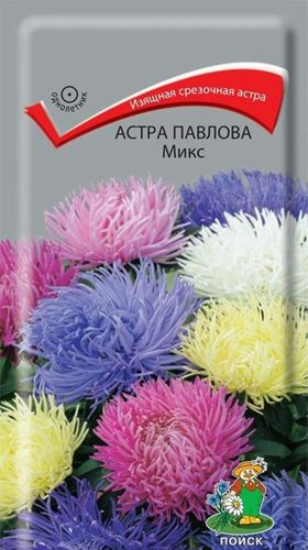 Семена Астры ПОИСК Павлова в ассортименте 0,3 г, детальное фото