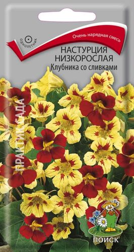 Семена Настурции низкорослой Поиск Клубника со сливками 1 г, картинка