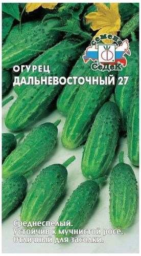 Семена Огурца СеДек Дальневосточный 27 0,5 г, крупный план
