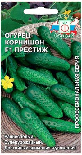 Семена Огурца СеДеК Престиж F1 10 г, крупный план