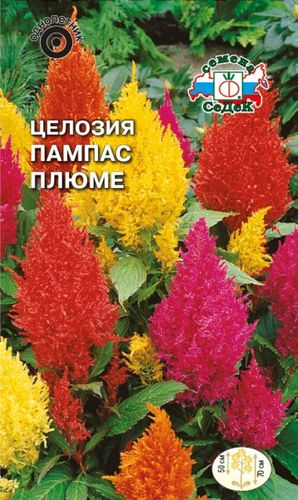 Семена Целозии СеДек Пампас Плюме 0,2 г, детальное фото