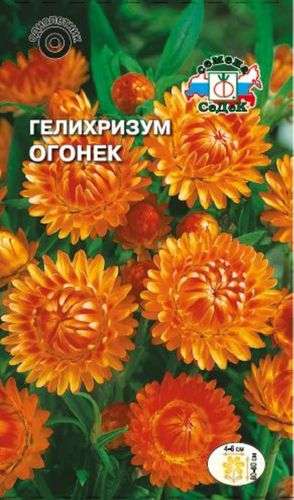 Семена Бессмертника СеДек Огонек 0,25 г, детальное фото