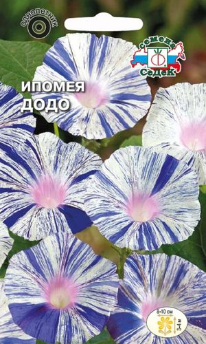 Семена Ипомеи СеДеК Додо, 3г, крупный план