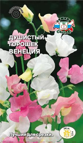 Семена Душистого горошка СеДеК Венеция, 1г, изображение