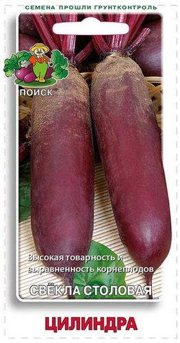 Семена Свеклы столовой ПОИСК Цилиндра 3 г, крупный план