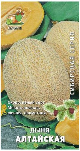 Семена Дыни ПОИСК Алтайская 15 шт, крупный план