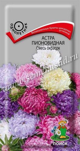 Семена Астры пионовидной ПОИСК Смесь окрасок 0,3 г, изображение