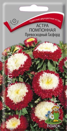 Семена Астры помпонной ПОИСК Превосходный Гасфорд 0,3 г, фото