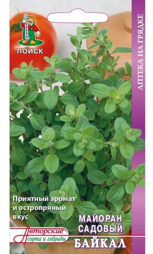 Семена Майорана ПОИСК Байкал 0,1 г, крупный план
