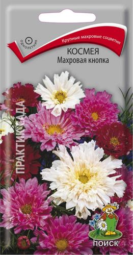 Семена Космеи ПОИСК Махровая кнопка 0,1 г, изображение