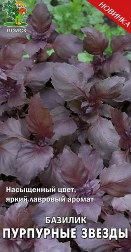 Семена Базилика Поиск Пурпурные звезды 0,1 г, вид