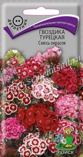 Семена Гвоздики турецкой ПОИСК Смесь окрасок 0,25 г, детальное фото