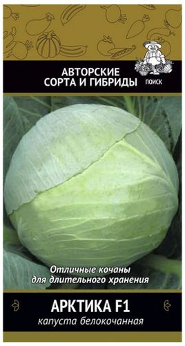 Семена Капусты ПОИСК Авторские сорта и гибриды Арктика F1 0,2 г, фотография