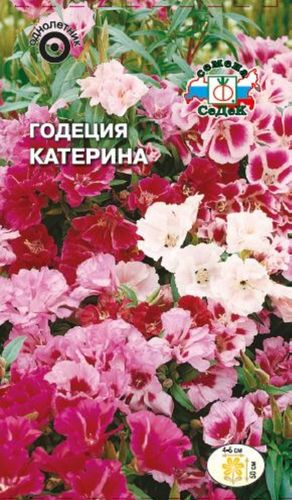 Семена Годеции СеДеК Катерина смесь 3 г, фото