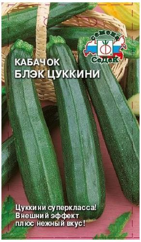 Семена Кабачка СеДеК Блэк цуккини 2 г, крупный план