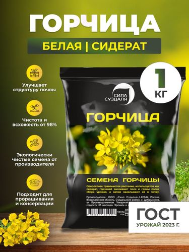 Семена горчицы Сила Суздаля 1 кг, изображение