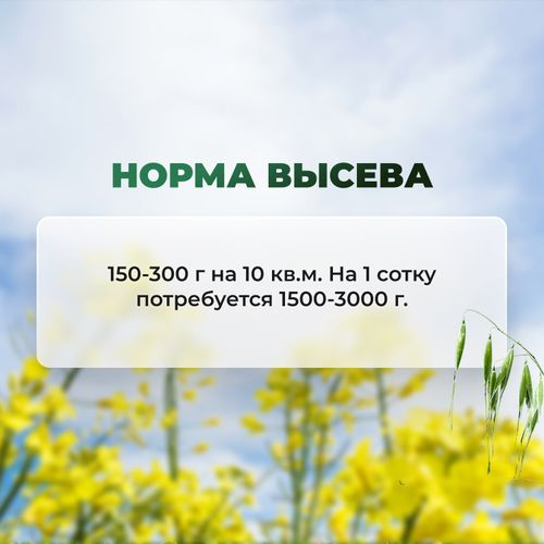 Сидераты для картофеля СИЛА СУЗДАЛЯ 1 кг, картинка
