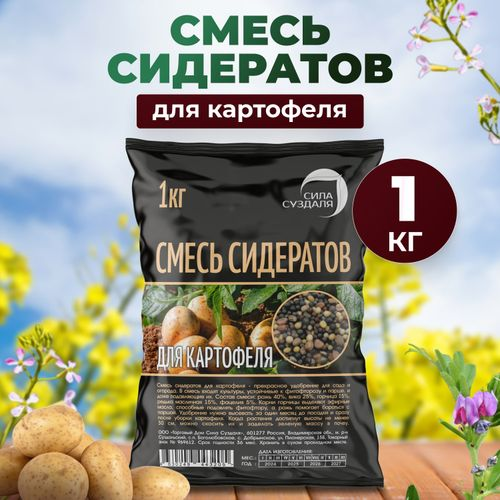 Сидераты для картофеля СИЛА СУЗДАЛЯ 1 кг, вид