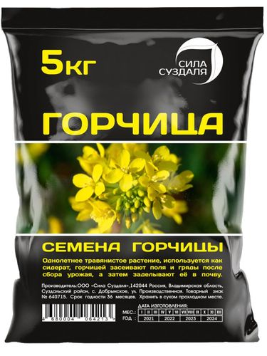 Семена горчицы Сила Суздаля 5 кг, крупный план