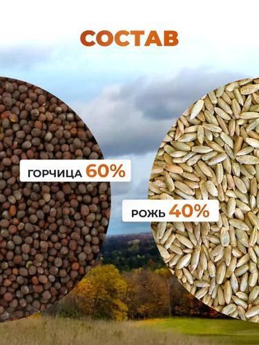 Смесь сидератов осенняя Сила Суздаля 1 кг, фото