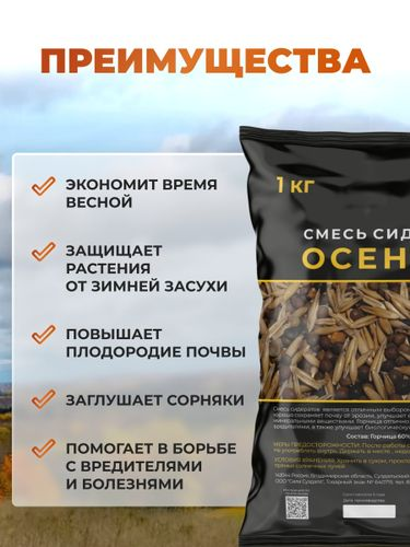 Смесь сидератов осенняя Сила Суздаля 1 кг, детальное фото