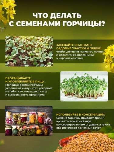 Семена горчицы Сила Суздаля 3 кг, картинка